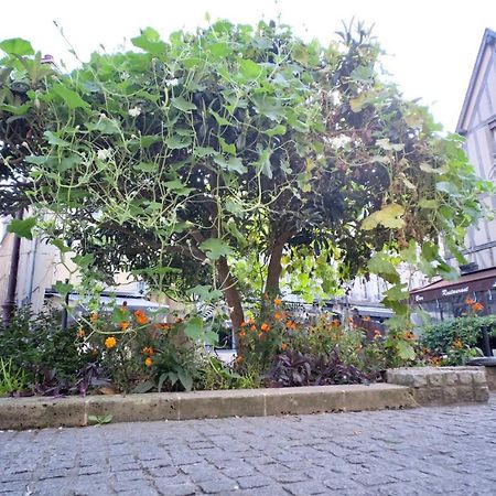 Апартаменты Le Perroquet Fringant, Rue Pietonne Et Quartier Historique Кан Экстерьер фото